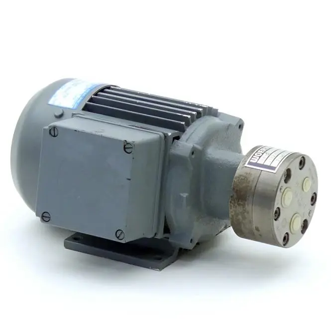 Produktfoto 1 von WOERNER Zahnradpumpe