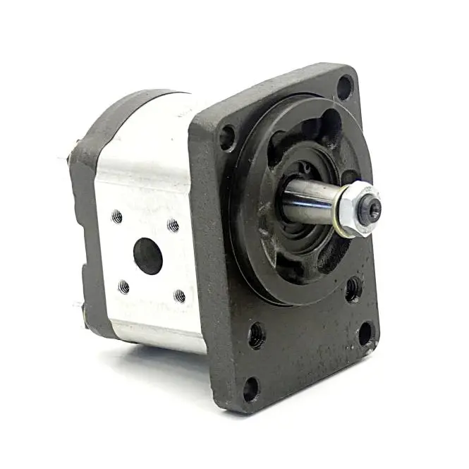 Produktfoto 1 von BOSCH Zahnradpumpe