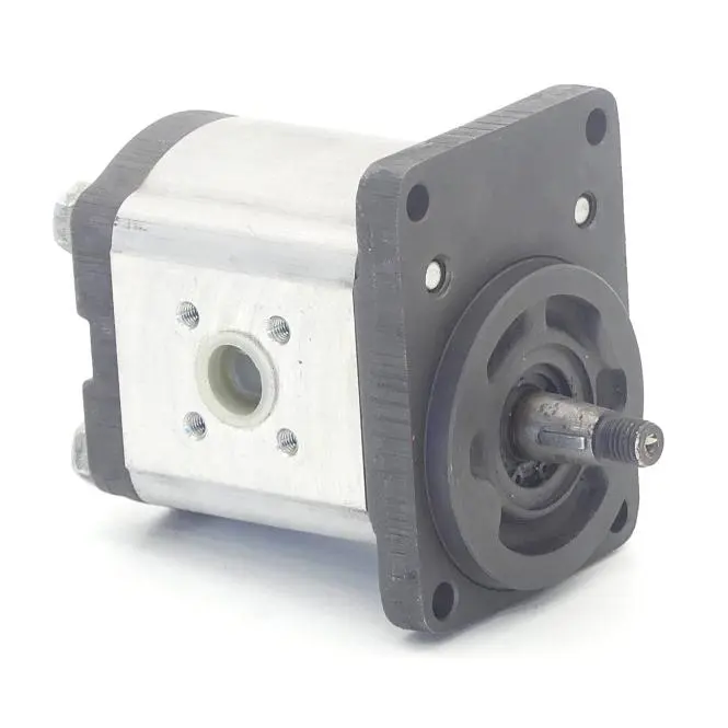 Produktfoto 1 von BOSCH Zahnradpumpe