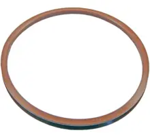 Produktfoto 1 von VL 250 V-Ring, FKM