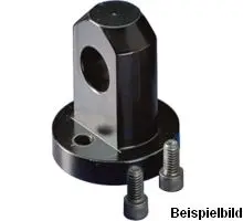 Produktfoto 1 von REB-25 Schwenkauge (Boden), Zubehör RC-Serie