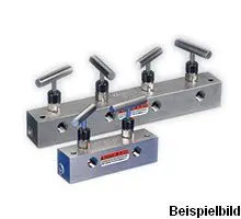 Produktfoto 1 von AM-21 Doppelabsperrventil, 5 X 3/8'' NPT IG