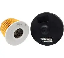PI0121MIC Belüftungsfilter inkl. Element, 77575657