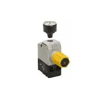Produktfoto 1 von P2M2PXSG Druckreglermodul