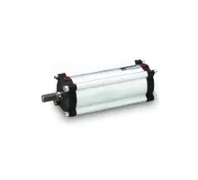 P1K-S032DT-0100 Pneumatikzylinder, Dmr. 32/Hub 100