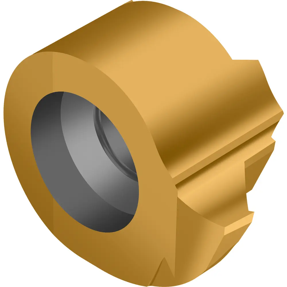Produktfoto 1 von Walter WE07-GP10-100R00 WSM23X