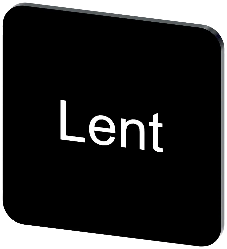 Produktfoto 1 von Bezeichnungsschild 22x22mm, Schild schwarz, Beschriftung: LENT