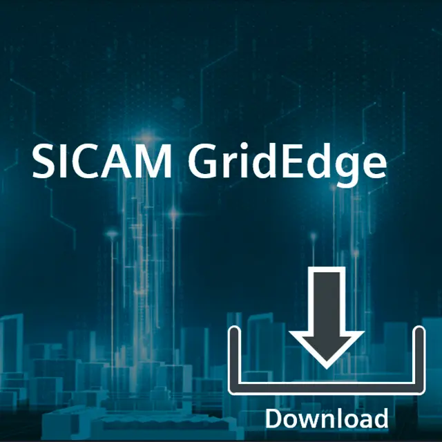 Produktfoto 1 von Siemens SICAM 6MD7881-2AA40